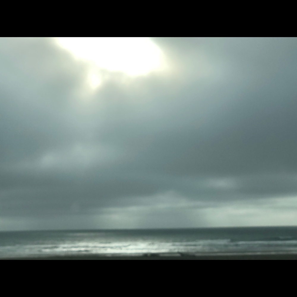 Meet your Posher, Liz